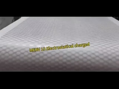 Filtre d'air de baisse de basse pression pré, milieu de filtrage de polyester de G3 G4 Rolls